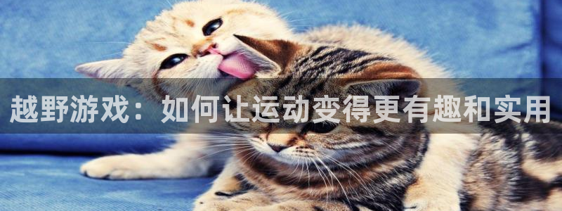 乐球体育直播免费高清