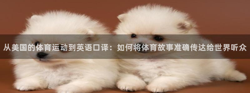 乐球体育官网入口