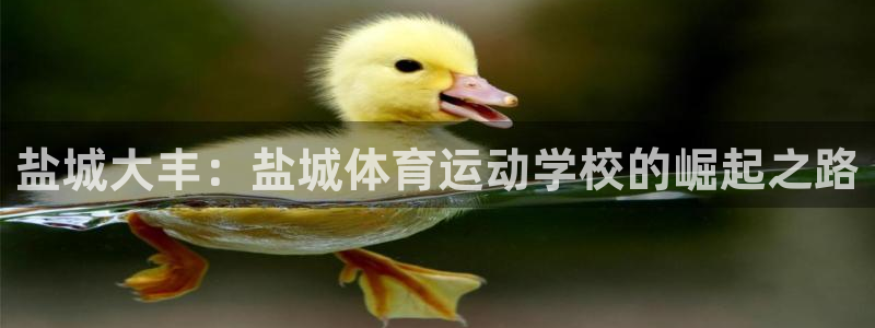 乐球体育官网：盐城大丰：盐城体育运动学校的崛起之路