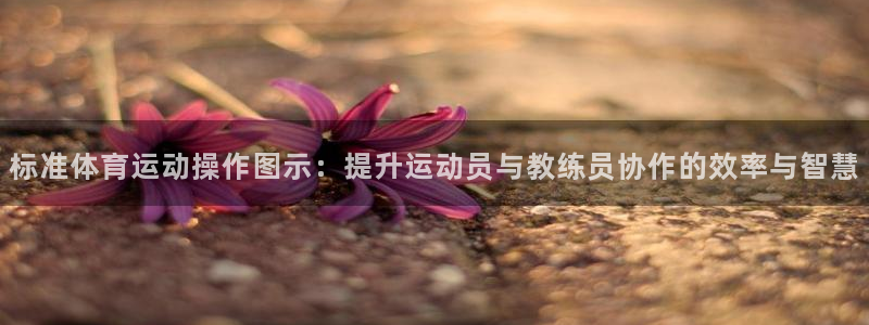 乐球体育火箭对公牛录像