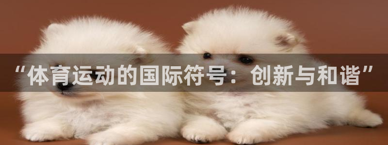 乐球体育赛事直播