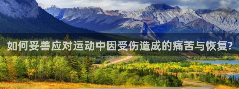 乐球体育免费直播nba