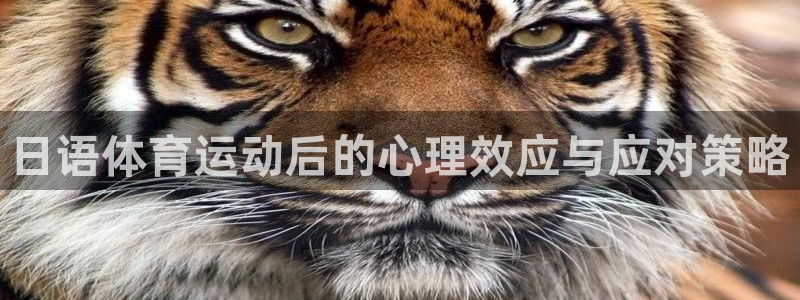 乐球体育火箭对公牛录像