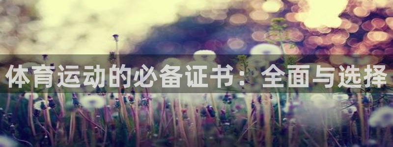 nba乐球体育