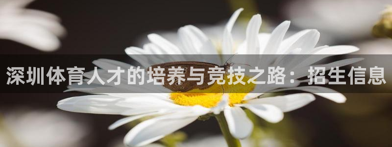 乐球体育下载