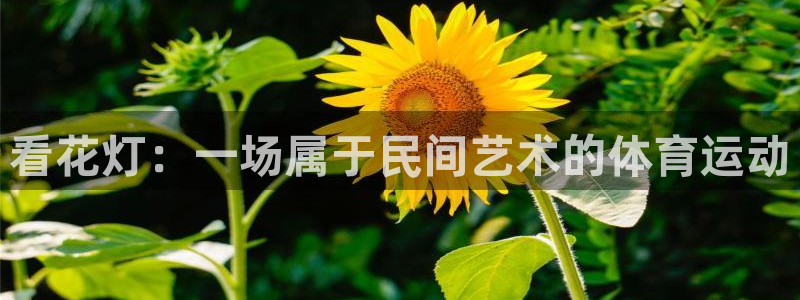 乐球体育nba赛事直播在哪看：看花灯：一场属于民间艺术的体育运动