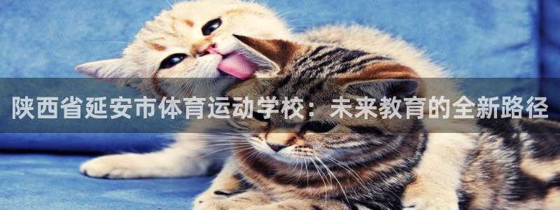 乐球体育用品公司怎么样：陕西省延安市体育运动学校：未来教育的全新路径